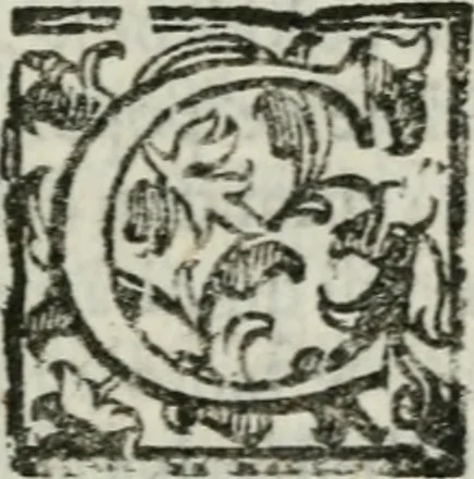 An illustration from La Pavia trionfante, 1606, leaf 30