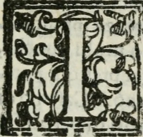 An illustration from La Pavia trionfante, 1606, leaf 60