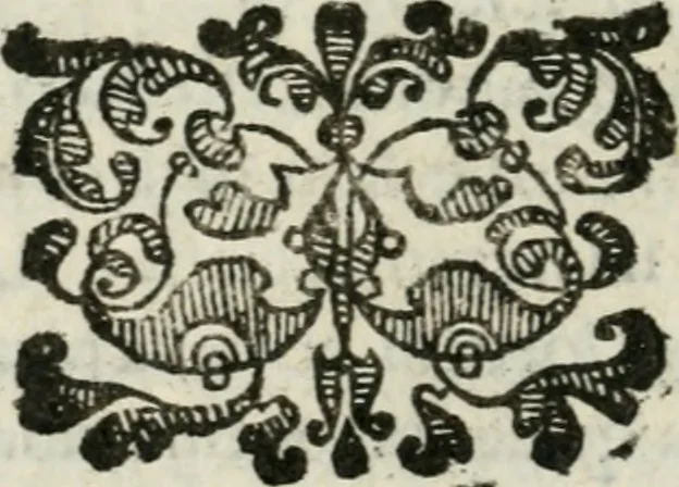 An illustration from La Pavia trionfante, 1606, leaf 65