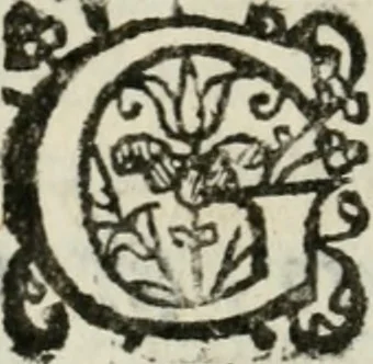 An illustration from La Pavia trionfante, 1606, leaf 67