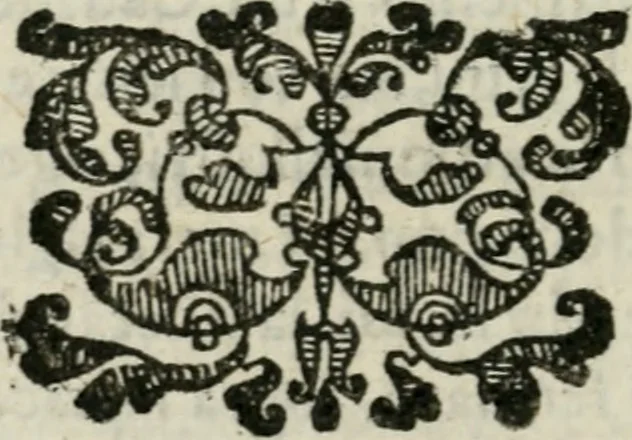 An illustration from La Pavia trionfante, 1606, leaf 89