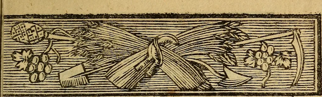 An illustration from La paysane pervertie, ou Les dangers de la ville : histoire d'Ursule R**, sur d'Edmond, le paysan, mise-au-jour d'après les véritables lettres des personages ..., 1784, leaf 16