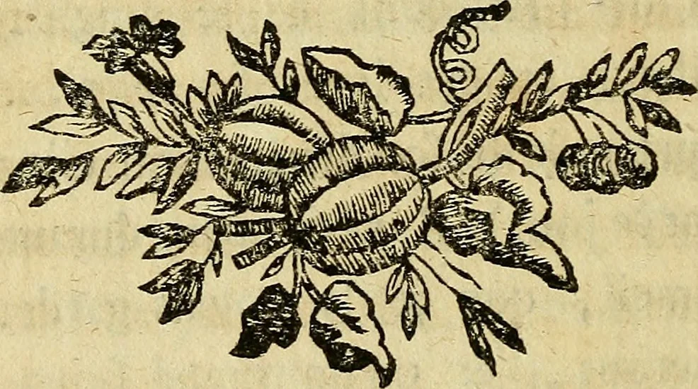 An illustration from La paysane pervertie, ou Les dangers de la ville : histoire d'Ursule R**, sur d'Edmond, le paysan, mise-au-jour d'après les véritables lettres des personages ..., 1784, leaf 29