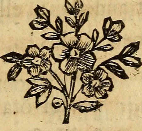 An illustration from La paysane pervertie, ou Les dangers de la ville : histoire d'Ursule R**, sur d'Edmond, le paysan, mise-au-jour d'après les véritables lettres des personages ..., 1784, leaf 50
