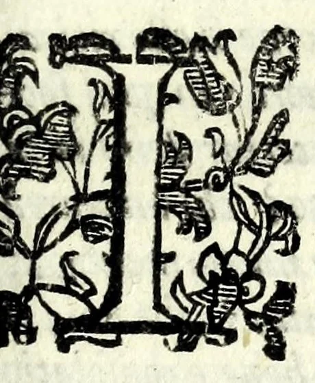 An illustration from La pazzesca pazzia de gl'hvomini e donne di corte innamorati, overo, Il cortigiano disperato, 1608, leaf 113