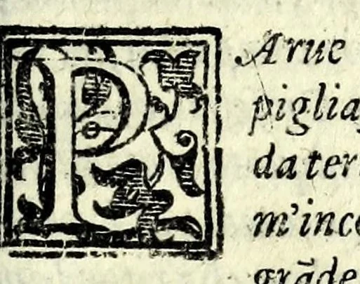An illustration from La pazzesca pazzia de gl'hvomini e donne di corte innamorati, overo, Il cortigiano disperato, 1608, leaf 173