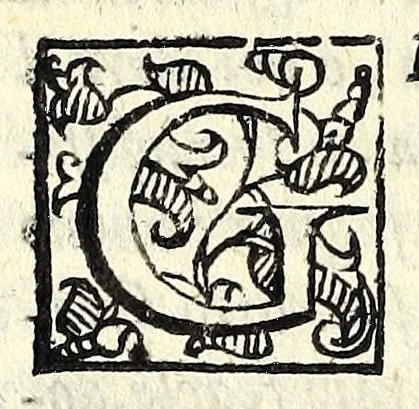 An illustration from La pazzesca pazzia de gl'hvomini e donne di corte innamorati, overo, Il cortigiano disperato, 1608, leaf 214