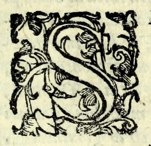 An illustration from La pazzesca pazzia de gl'hvomini e donne di corte innamorati, overo, Il cortigiano disperato, 1608, leaf 223