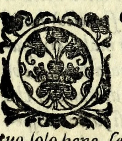 An illustration from La pazzesca pazzia de gl'hvomini e donne di corte innamorati, overo, Il cortigiano disperato, 1608, leaf 25
