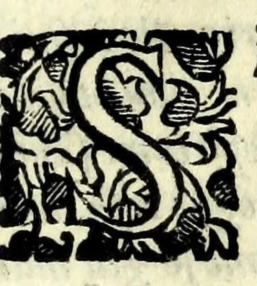 An illustration from La pazzesca pazzia de gl'hvomini e donne di corte innamorati, overo, Il cortigiano disperato, 1608, leaf 295