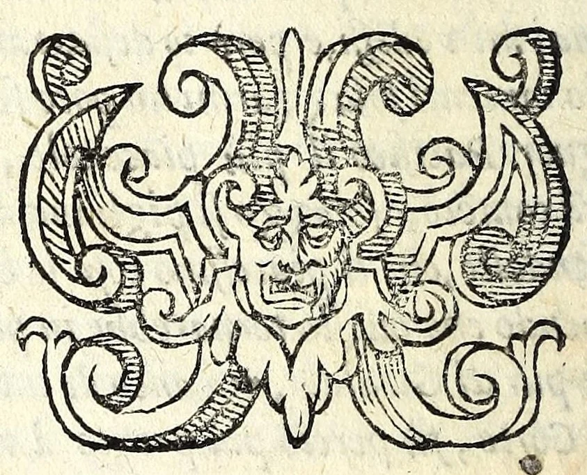 An illustration from La pazzesca pazzia de gl'hvomini e donne di corte innamorati, overo, Il cortigiano disperato, 1608, leaf 88