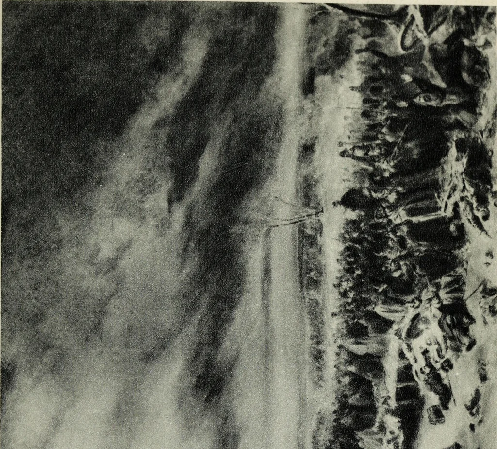 An illustration from La peinture française au XIXe siècle, 1900, leaf 46