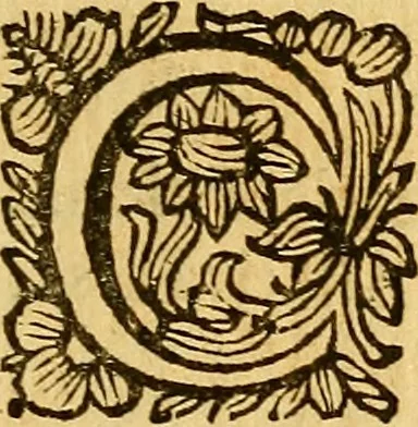 An illustration from La perfettione del cavallo, libri tre, di Francesco Liberati Romano, 1669, leaf 146