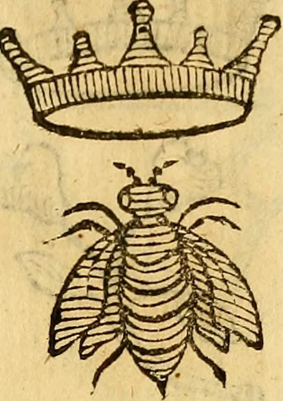 An illustration from La perfettione del cavallo, libri tre, di Francesco Liberati Romano, 1669, leaf 154