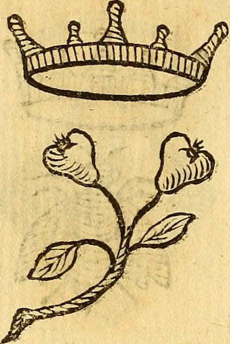 An illustration from La perfettione del cavallo, libri tre, di Francesco Liberati Romano, 1669, leaf 155
