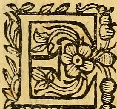 An illustration from La perfettione del cavallo, libri tre, di Francesco Liberati Romano, 1669, leaf 16