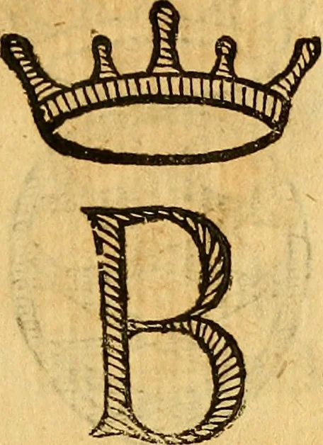 An illustration from La perfettione del cavallo, libri tre, di Francesco Liberati Romano, 1669, leaf 162