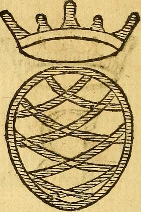 An illustration from La perfettione del cavallo, libri tre, di Francesco Liberati Romano, 1669, leaf 163
