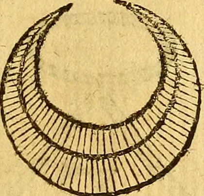 An illustration from La perfettione del cavallo, libri tre, di Francesco Liberati Romano, 1669, leaf 164