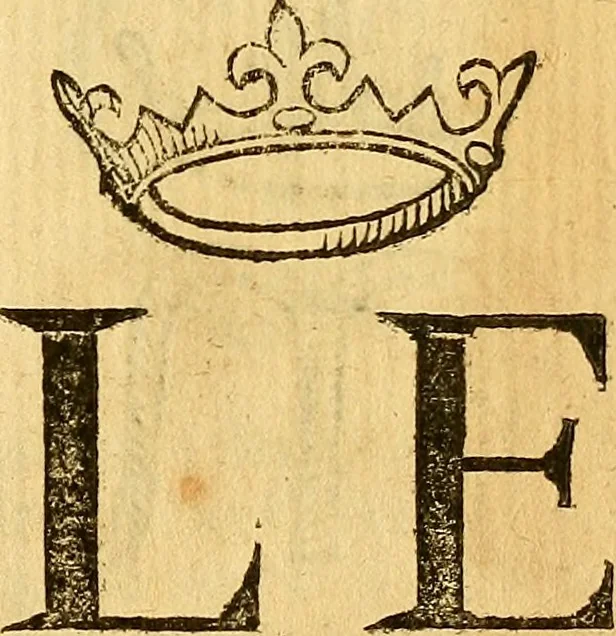 An illustration from La perfettione del cavallo, libri tre, di Francesco Liberati Romano, 1669, leaf 164