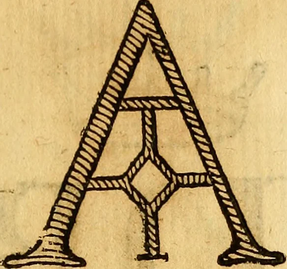 An illustration from La perfettione del cavallo, libri tre, di Francesco Liberati Romano, 1669, leaf 166