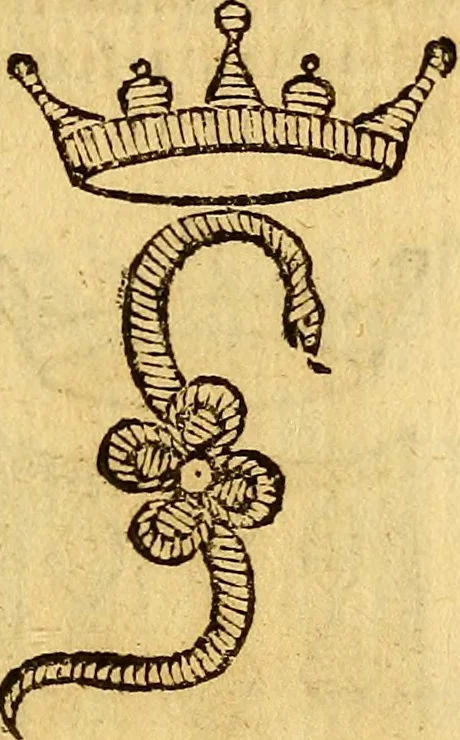 An illustration from La perfettione del cavallo, libri tre, di Francesco Liberati Romano, 1669, leaf 166