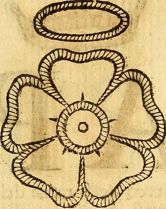 An illustration from La perfettione del cavallo, libri tre, di Francesco Liberati Romano, 1669, leaf 167