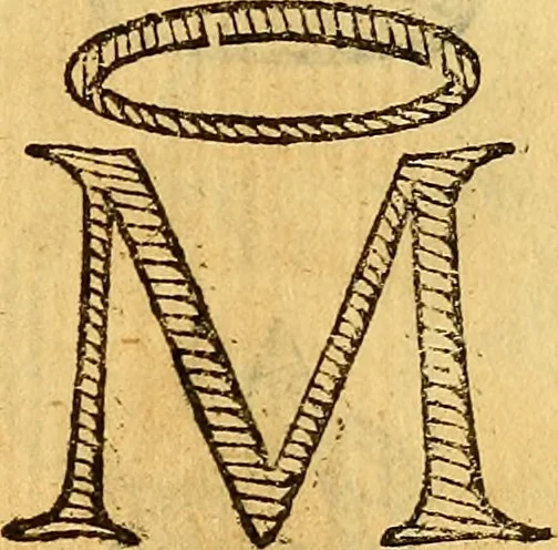 An illustration from La perfettione del cavallo, libri tre, di Francesco Liberati Romano, 1669, leaf 186