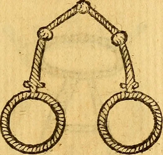 An illustration from La perfettione del cavallo, libri tre, di Francesco Liberati Romano, 1669, leaf 188