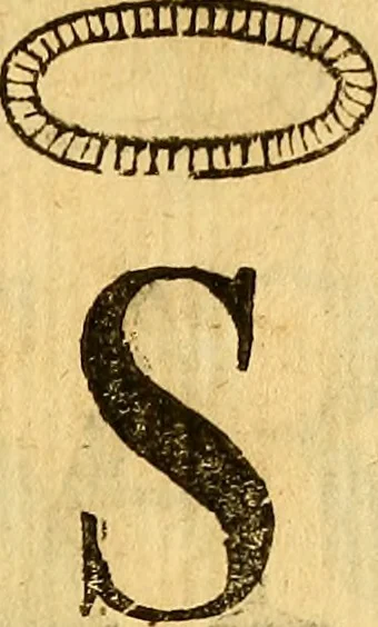 An illustration from La perfettione del cavallo, libri tre, di Francesco Liberati Romano, 1669, leaf 194
