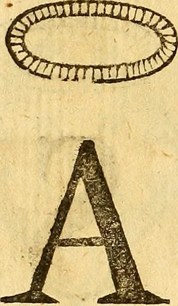 An illustration from La perfettione del cavallo, libri tre, di Francesco Liberati Romano, 1669, leaf 195
