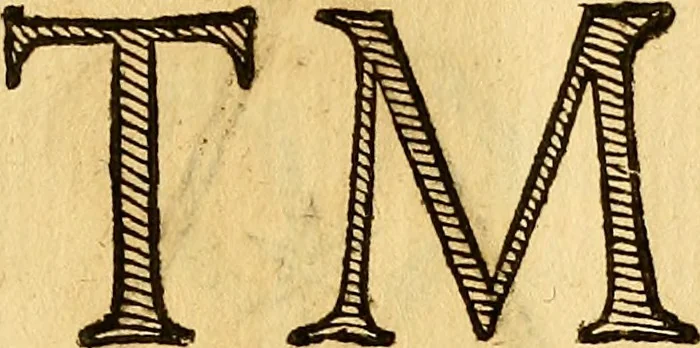 An illustration from La perfettione del cavallo, libri tre, di Francesco Liberati Romano, 1669, leaf 204