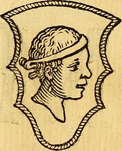 An illustration from La perfettione del cavallo, libri tre, di Francesco Liberati Romano, 1669, leaf 204