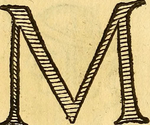 An illustration from La perfettione del cavallo, libri tre, di Francesco Liberati Romano, 1669, leaf 205