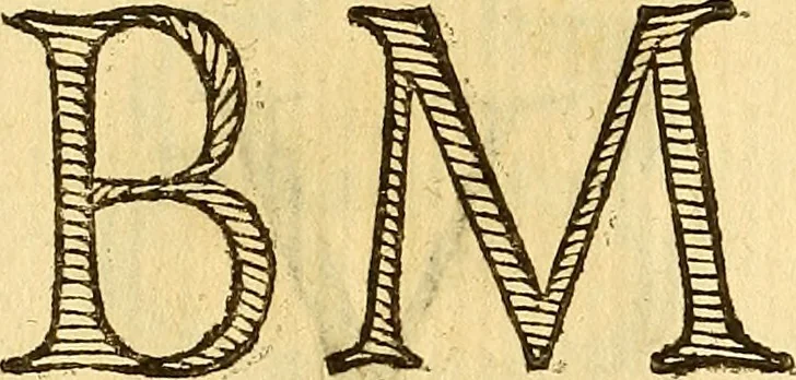 An illustration from La perfettione del cavallo, libri tre, di Francesco Liberati Romano, 1669, leaf 207