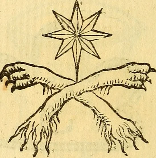 An illustration from La perfettione del cavallo, libri tre, di Francesco Liberati Romano, 1669, leaf 209