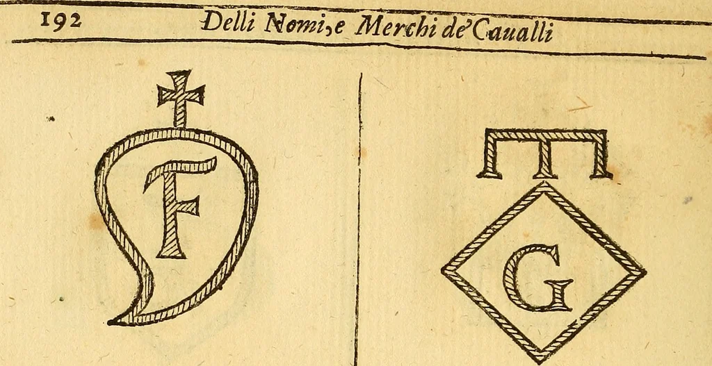 An illustration from La perfettione del cavallo, libri tre, di Francesco Liberati Romano, 1669, leaf 213