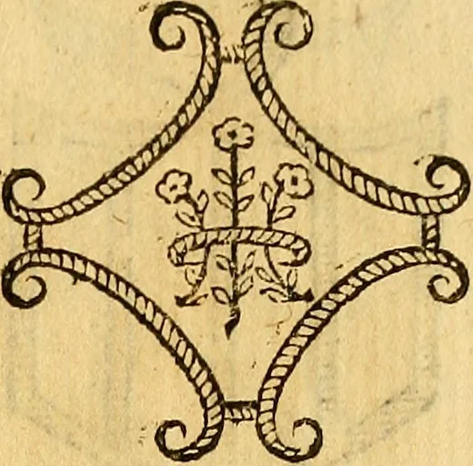 An illustration from La perfettione del cavallo, libri tre, di Francesco Liberati Romano, 1669, leaf 216