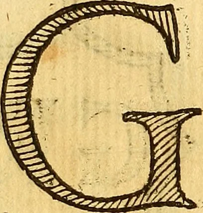 An illustration from La perfettione del cavallo, libri tre, di Francesco Liberati Romano, 1669, leaf 217
