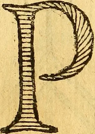 An illustration from La perfettione del cavallo, libri tre, di Francesco Liberati Romano, 1669, leaf 219