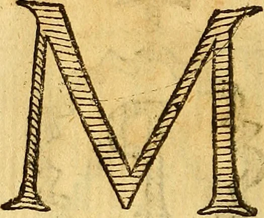 An illustration from La perfettione del cavallo, libri tre, di Francesco Liberati Romano, 1669, leaf 221
