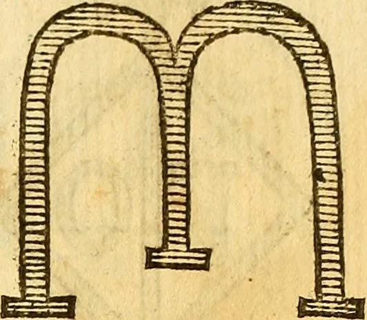 An illustration from La perfettione del cavallo, libri tre, di Francesco Liberati Romano, 1669, leaf 224