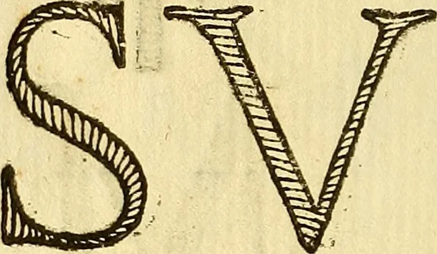 An illustration from La perfettione del cavallo, libri tre, di Francesco Liberati Romano, 1669, leaf 225