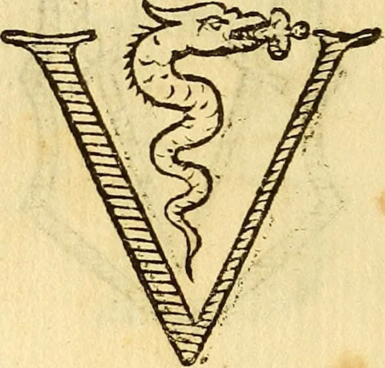 An illustration from La perfettione del cavallo, libri tre, di Francesco Liberati Romano, 1669, leaf 233