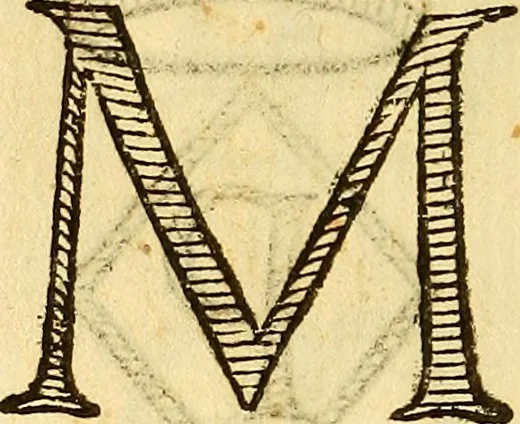An illustration from La perfettione del cavallo, libri tre, di Francesco Liberati Romano, 1669, leaf 237