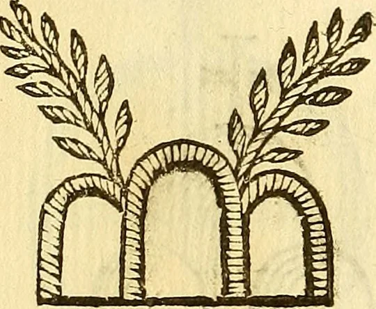 An illustration from La perfettione del cavallo, libri tre, di Francesco Liberati Romano, 1669, leaf 239