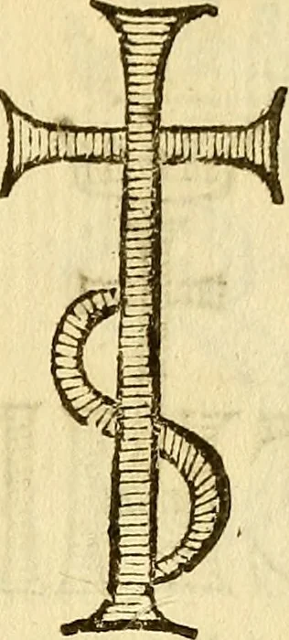 An illustration from La perfettione del cavallo, libri tre, di Francesco Liberati Romano, 1669, leaf 240