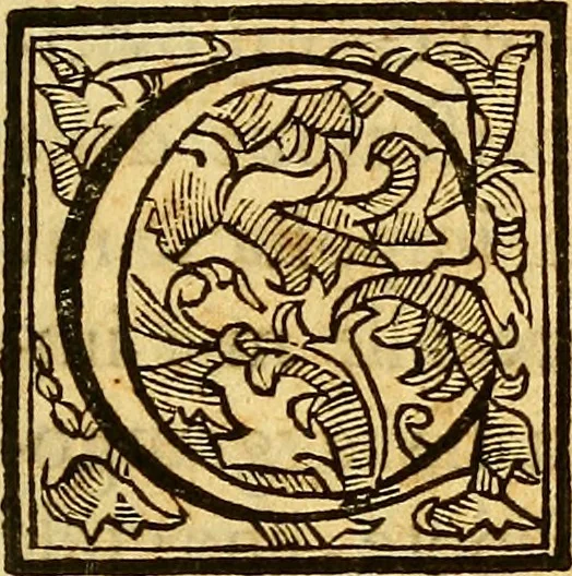 An illustration from La perfettione del cavallo, libri tre, di Francesco Liberati Romano, 1669, leaf 6