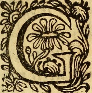 An illustration from La perfettione del cavallo, libri tre, di Francesco Liberati Romano, 1669, leaf 8