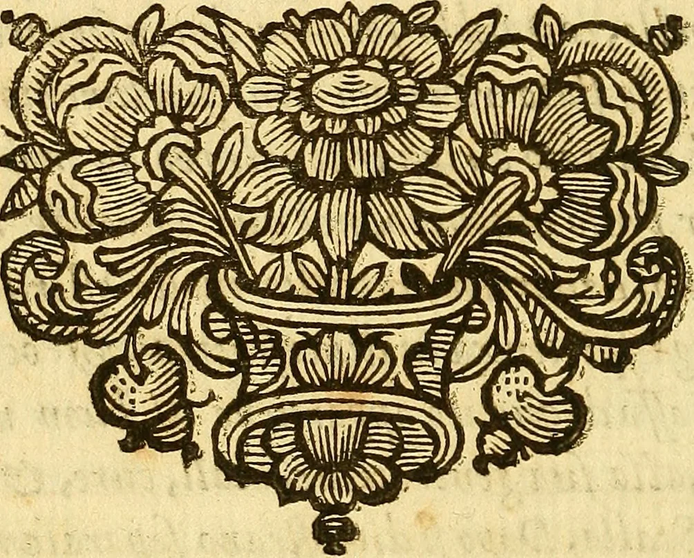 An illustration from La perfettione del cavallo, libri tre, di Francesco Liberati Romano, 1669, leaf 9